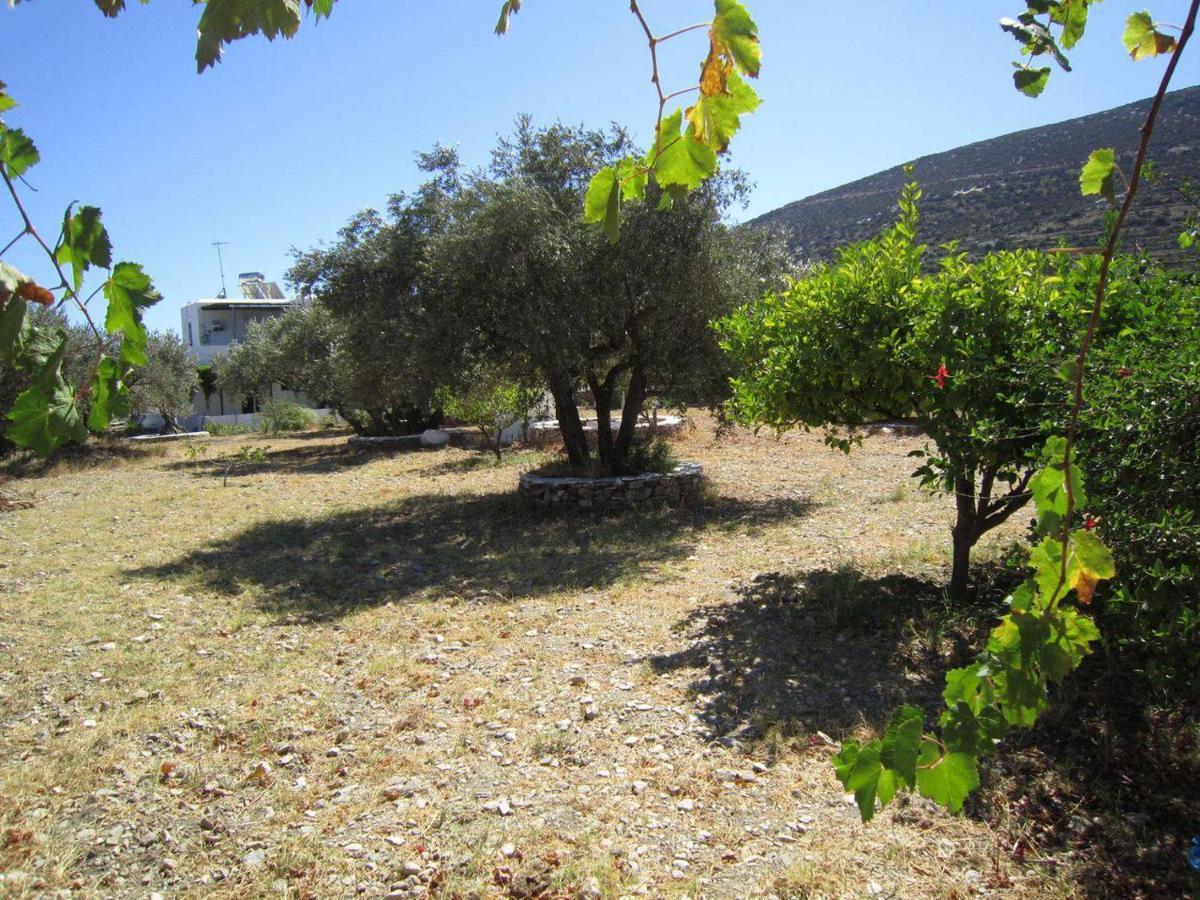 Elisso Villas Platis Gialos  Exterior photo