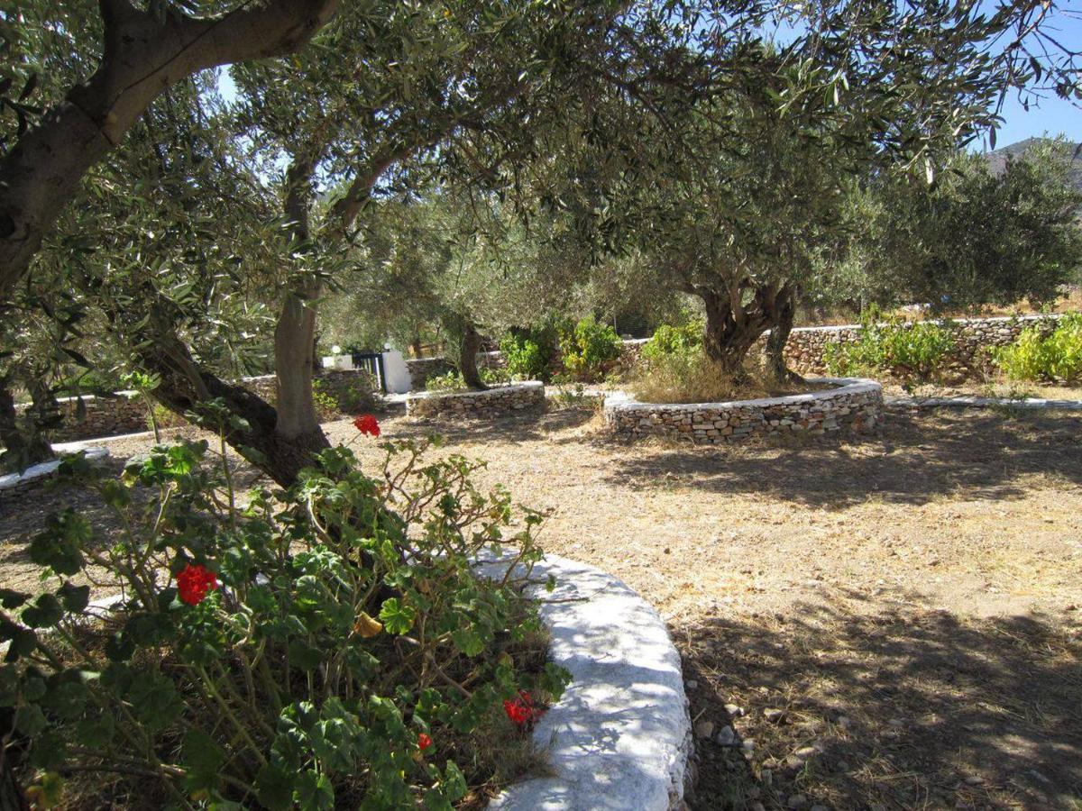 Elisso Villas Platis Gialos  Exterior photo
