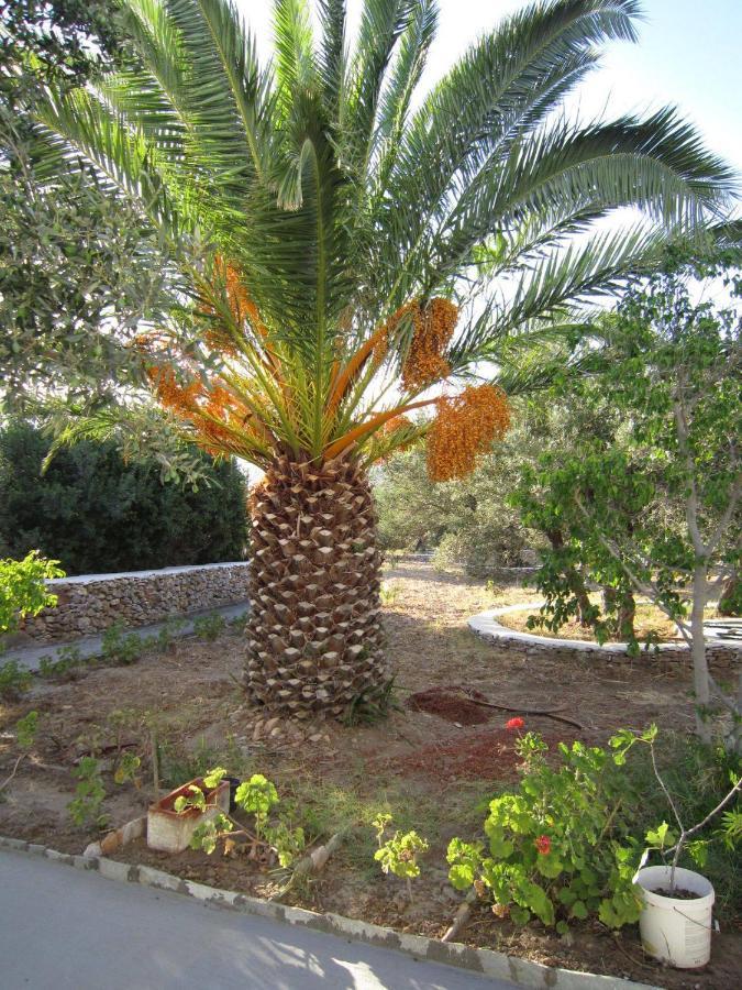 Elisso Villas Platis Gialos  Exterior photo
