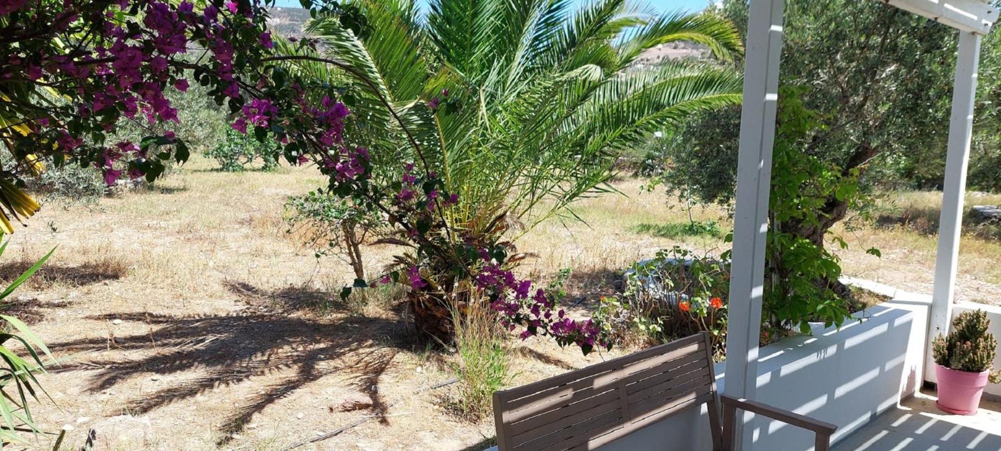 Elisso Villas Platis Gialos  Exterior photo